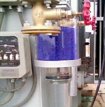 麻豆人妻偷人精品无码视频有什么特点？